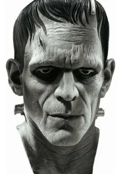 Best Rubies Costume Deluxe Frankenstein Mask Scary Costumes