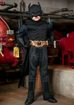 Store Rubies Costume Deluxe Toddler Dark Knight Batman Costume Superhero Costumes