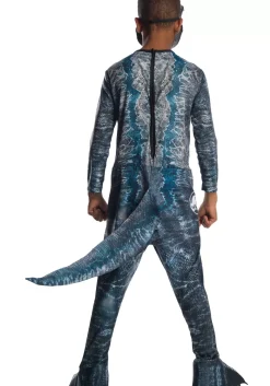 Discount Rubies Costume Kids Jurassic World: Fallen Kingdom Blue Velociraptor Costume Tv / Movie Costumes